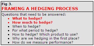 Framing a Hedging Process