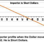 Importer Short Dollars