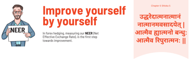 In forex hedging, measuring our NEER (Net Effective Exchange Rate), is the first step towards improvement.